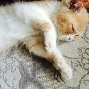 刘钰儿光屁屁图片
